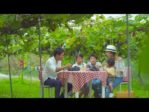 兵庫県加古川市への移住【メリットやデメリット】｜移住マップ
