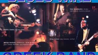 Blues Wire - Steady Gig - 1999 - Catch Me When I Fall - Dimitris Lesini Greece