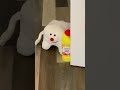Take Care Of Those Teeth Folks Timothytooth Teeth Dentist Meme Memes Puppet Funny Milk