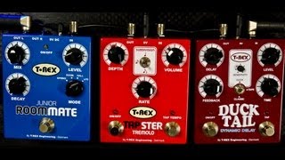 Video thumbnail for T-Rex  Tapster Tremolo ,Duck Tail Dynamic Delay & Room Mate Junior Reverb by colin smith