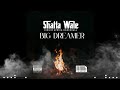 Shatta Wale Big Dreamer Audio Slide