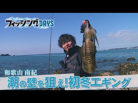 【フィッシングDAYS】#130 和歌山　南紀　潮の壁を狙え！初冬エギング