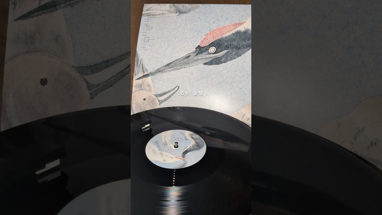本日「儚くも美しき12の変奏」アナログ盤リリース✨レコード盤に針を落とすときのわくわくもぜひお楽しみください📍♩金星 #くるり #変12