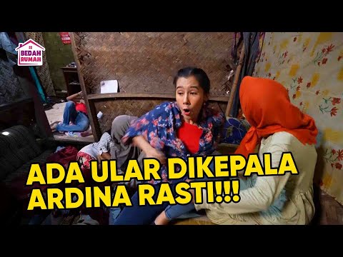 ULAR MEMATIKAN BISA BIKIN LUMPUH ARDINA RASTI❗❗ | KILAU EPS 521 PART 3