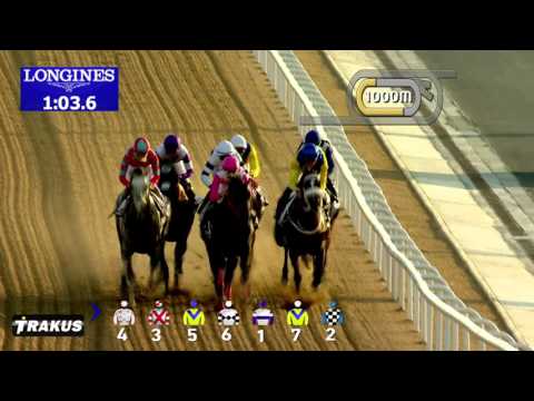 Uaeダービー G2 16 3 26 土 日程 結果 Jra Van Ver World