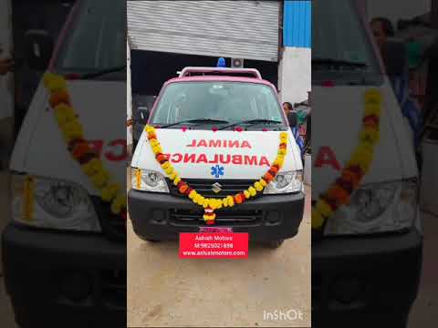Maruti Eeco Modified as Animal Ambulance