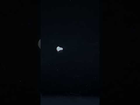 YouTube 썸네일