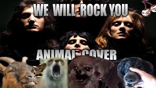 Queen - We Will Rock You (Animal Cover)