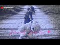 Jiski Masti Zinda Hai Uski Hasti Zinda Hai New WhatsApp Status New Lyrics Status