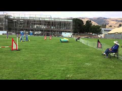 Bev and Pixie - Advanced Jumpers (14") - 2015-05-31