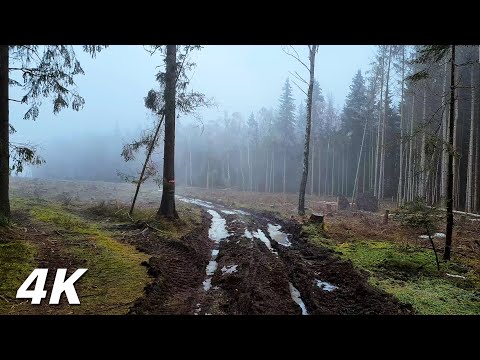 To The Lost Medieval Church In Fog - ASMR Medieval Walk In Fog 4k No Music
