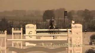 Show Jumping- I Get Lonely