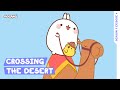 RIDING A CAMEL WITH FRIENDS Molang Season 1 Ep 4