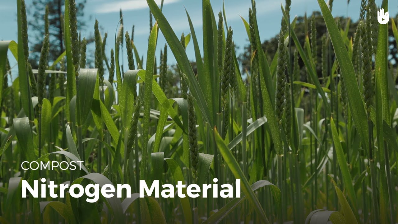 Nitrogenrich materials Making Compost Sikana