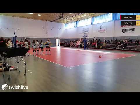 Basato in diretta sull'app Swish Live VEGA U12 VS PREALPINO