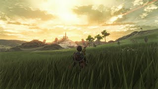 zelda 8k rtgi