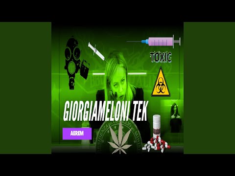 GIORGIAMELONI::TEK