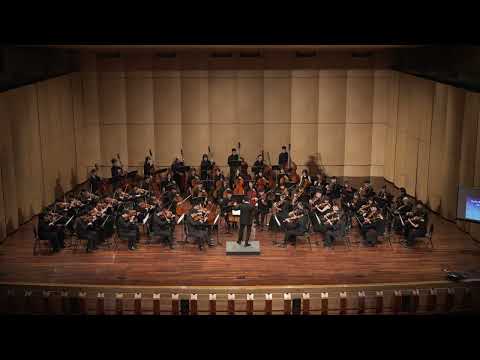 Gyula Beliczay – Serenade for Strings Mov. 4