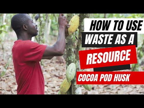 Use Waste As A Resource II Cocoa Pod Husk II Kumi Perma Ecovillage Ghana