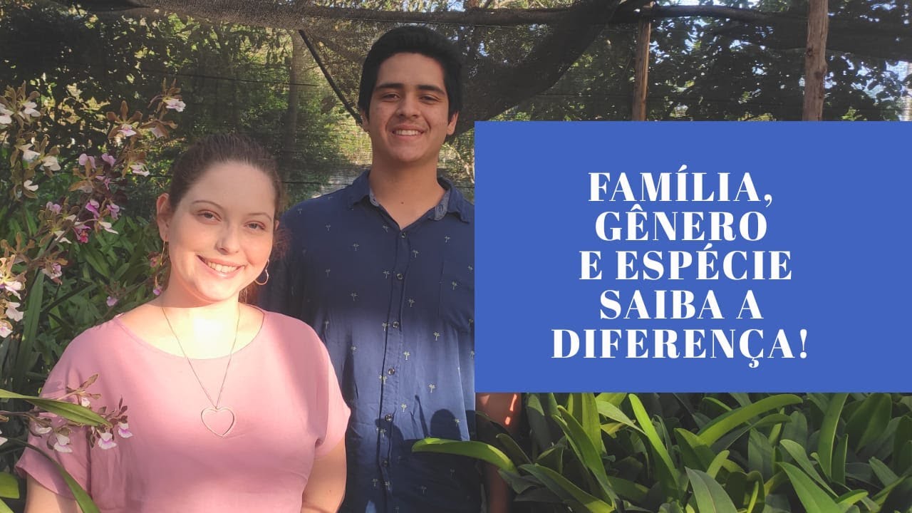 QUAL DIFERENÇA DE FAMÍLIA, GÊNERO E ESPÉCIE