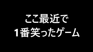 このゲームの作者ぶっ飛んでやがる(いい意味) [フルボイスクソゲーRPG]