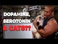 Dopamine, Serotonin, Cats & More... Continuation from last video!