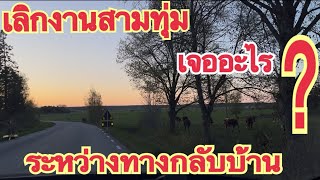เลิกงานสามทุ่มเจออะไรระหว่างทาง#ชีวิตในต่างแดน