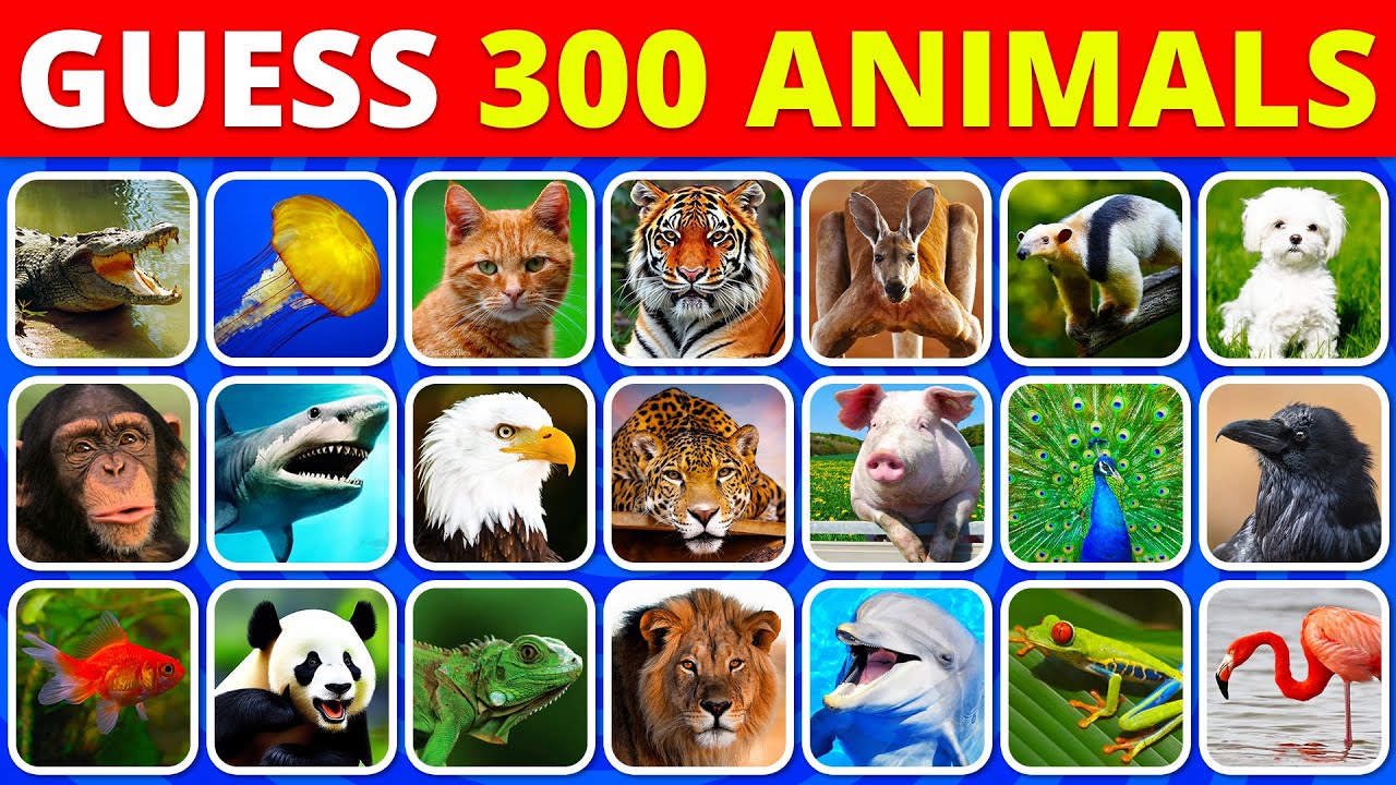 Guess 300 ANIMALS in 3 Seconds 🐱🦁🐵 | EASY to IMPOSSIBLE