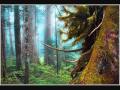 Gentle Rain Wmv