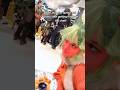 WHO PLAYED THE UPDATE I GOT CONNIE Ninbeaa Dandysworld Fruitcake Cosplay Sprout Cosmo Meme