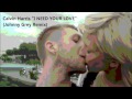 Calvin Harris - "I Need Your Love" (Feat. Ellie ...