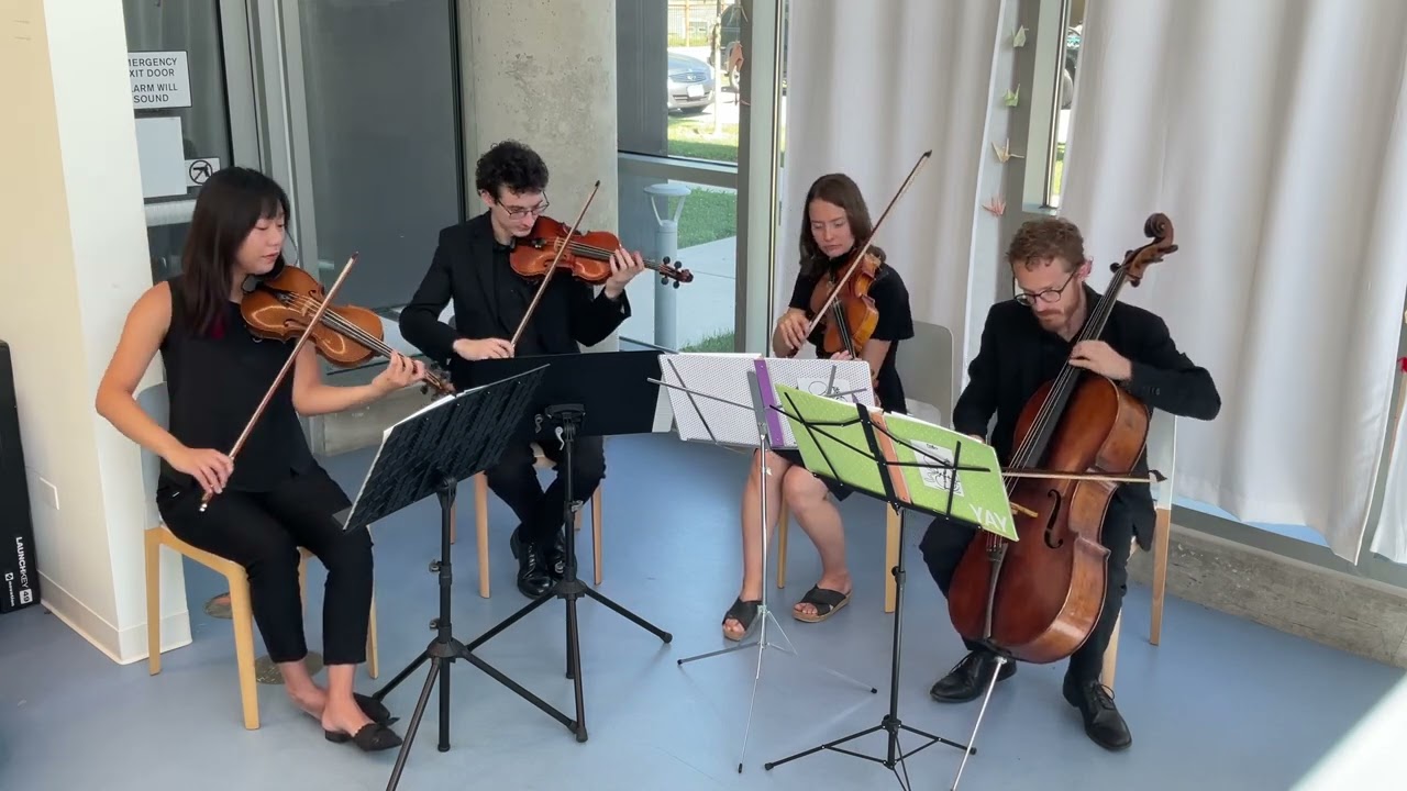 Promotional video thumbnail 6 for Windy City Strings