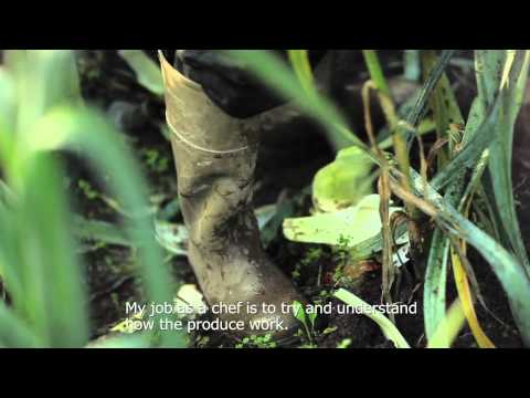 Mathias Dahlgren - Produce