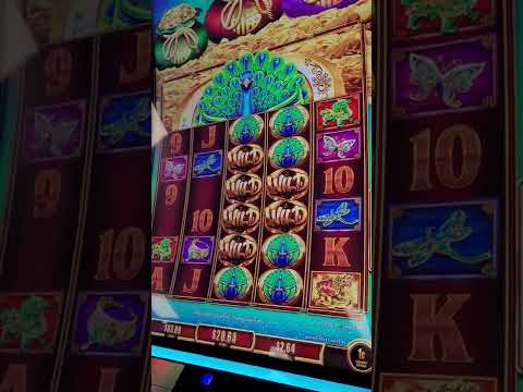 PROSPERITY JACKPOT Feature,  on Fu Dai Lian Lian Peacock 05-01-2022