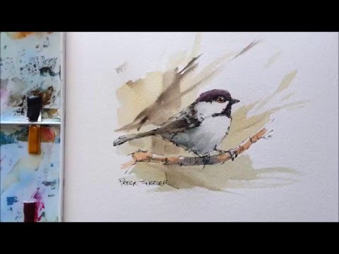 Line and Wash Black Capped Chickadee. Great for begginers in Wildlife painting