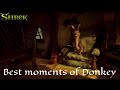 Shrek (2001) - Best Donkey Moments!
