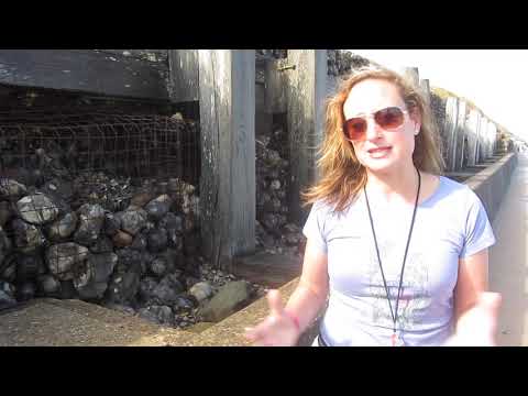 Gabions and sea wall in Overstrand, North Norfolk. Hard engineering. Teaching resource Geography.