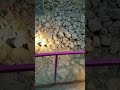 General Mobinkhan Shorts Video Parwan Afghanistan