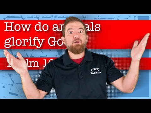 How do animals glorify God? - Psalm 104:24-30