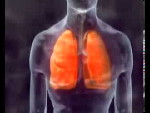 download lagu mp3 mp4 Budai Allergiakzpont, download mp3 Budai Allergiakzpont free download mp3, download mp3 Budai Allergiakzpont