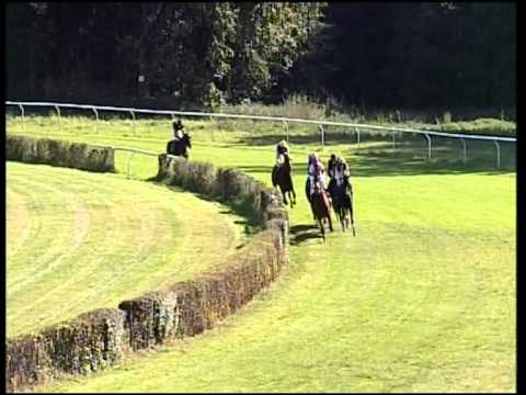 Hoppegarten, Pro Brandenburg-Trophy, 3.10.12, Siegerin: Foreign Princess