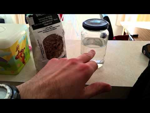 download lagu mp3 mp4 Oak Chips In Primary Fermentation, download lagu Oak Chips In Primary Fermentation gratis, unduh video klip Oak Chips In Primary Fermentation