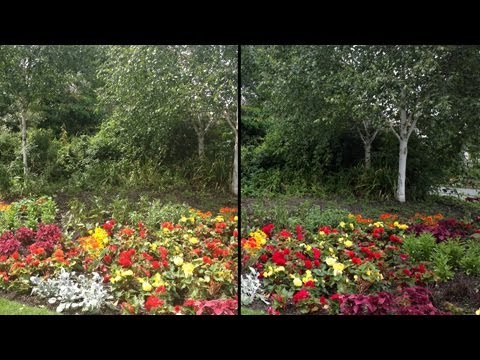 Nokia 808 Pureview vs iPhone 4S Camera Test Comparison.