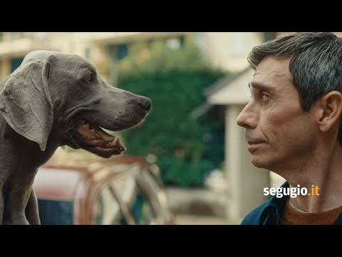 Al via il nuovo spot di Segugio.it: il comparatore senza confronti