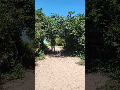 #passarela ecológica em Mucuri Bahia 🌴