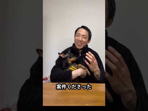 現代社会学科 コメント欄の優しさ、ほんとに感謝しております...あたたかい方ばかりで...🥹最近マロちゃん出演させすぎてるからブラックだと思われてないかな...今から散歩長めに行ってきます！福利厚生を充実させな！