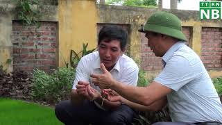 Áp dụng cơ giới hóa và công nghệ thông minh trong sản xuất lúa