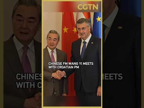 Chinese Foreign Minister Wang Yi meets with Croatian Prime Minister Andrej Plenkovic