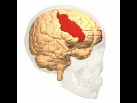 College of Classical Yoga - 2018