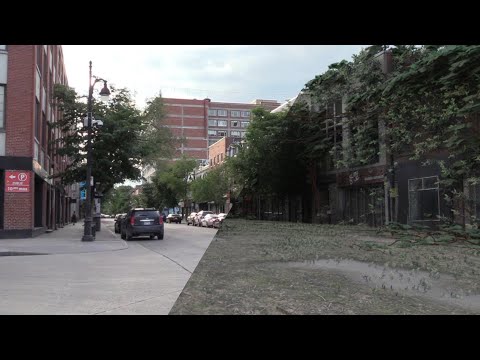 Tutorial: Composite a post-apocalyptic city in 3D